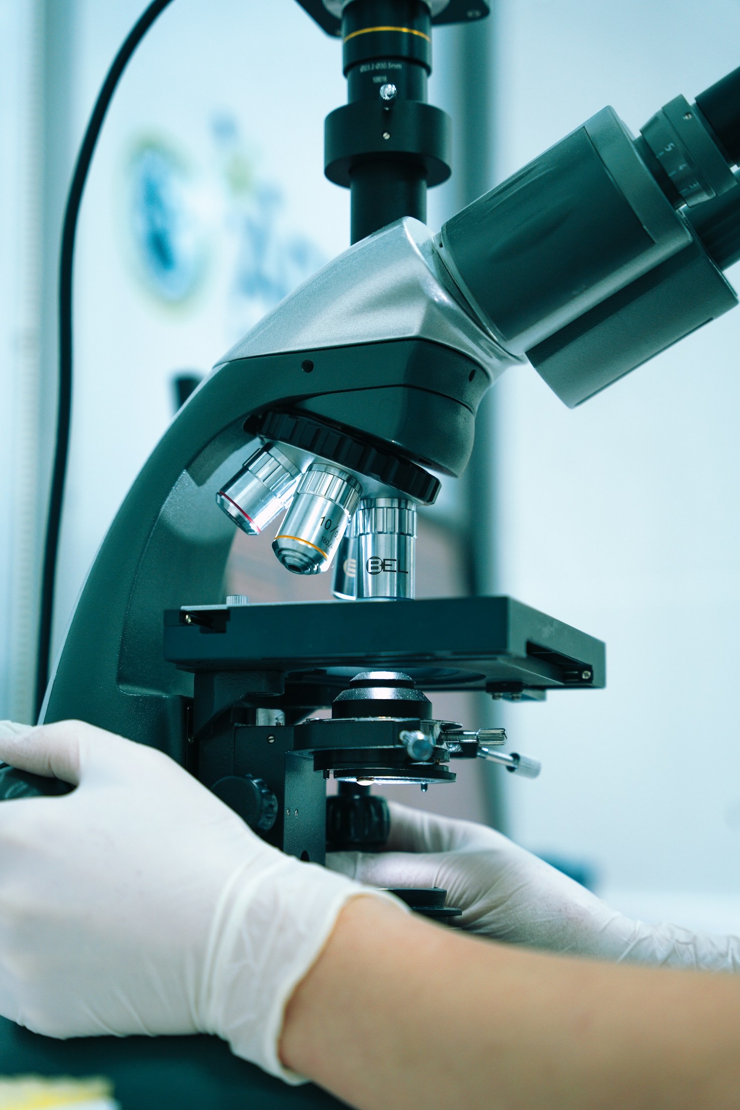 Odontoiatria estetica: tra funzionalità e bellezza
